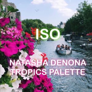 ISO NATASHA DENONA PALETTES